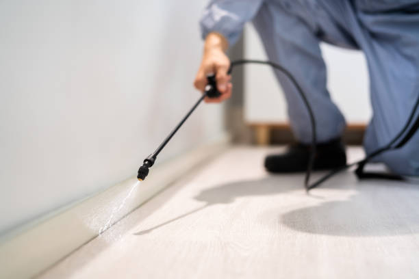 Professional exterminator conducting IPM assessment in Carlsbad